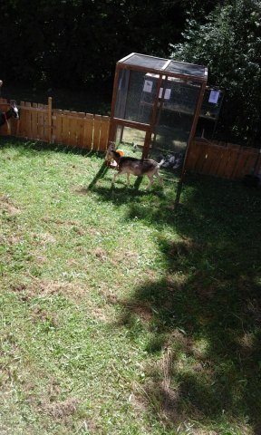 Sommer 20162 (8)